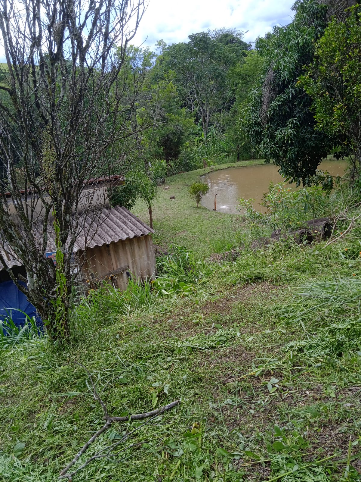 Chácara com nascente pequena cachoeira em Extrema - MG  | código 982