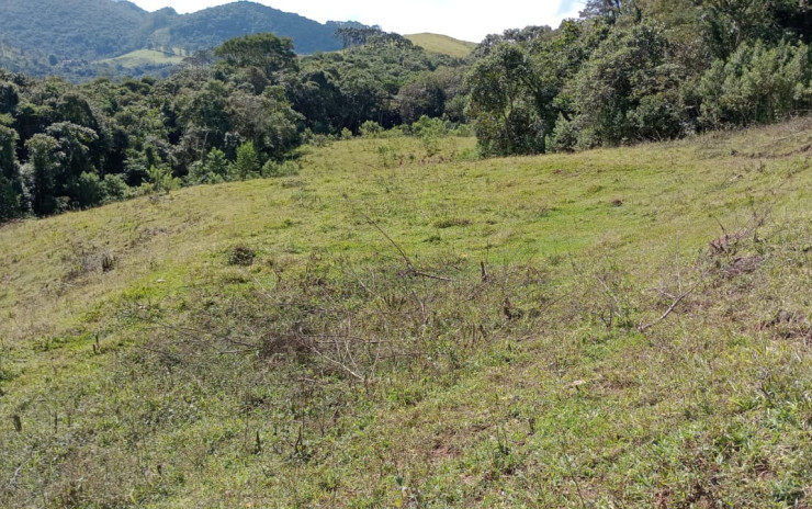 Fazenda com 53 Alqueires, excelente para agropecuaria | Extrema - MG  | código 995