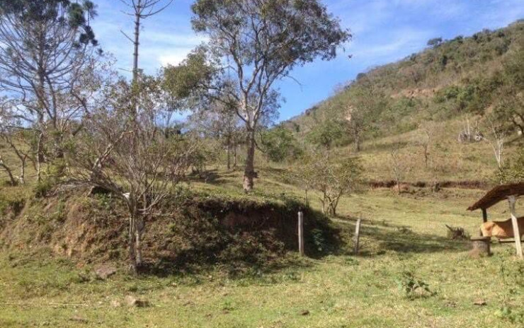 Fazenda com 53 Alqueires, excelente para agropecuaria | Extrema - MG  | código 995