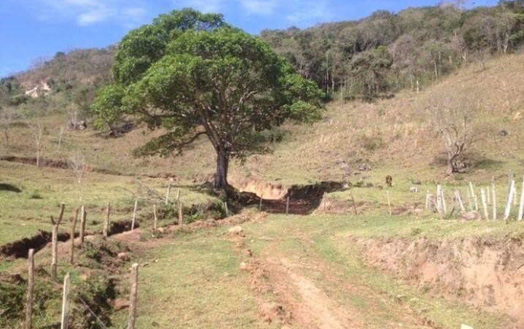 Fazenda com 53 Alqueires, excelente para agropecuaria | Extrema - MG  | código 995