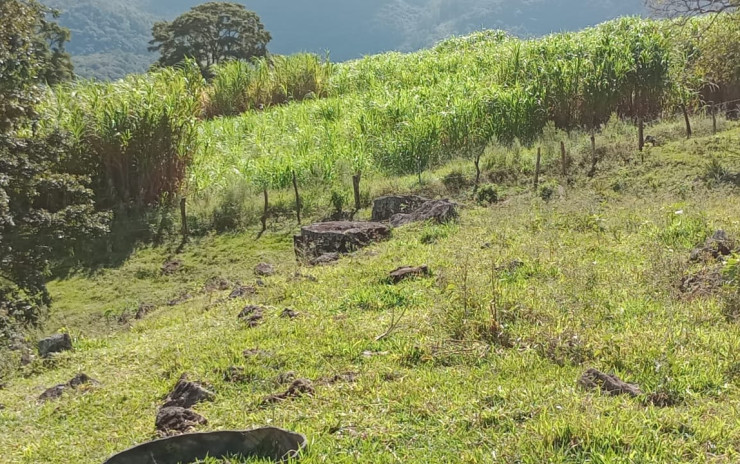 Fazenda com 53 Alqueires, excelente para agropecuaria | Extrema - MG  | código 995