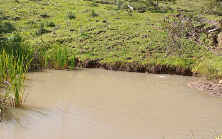 Fazenda com 53 Alqueires, excelente para agropecuaria | Extrema - MG  | código 995