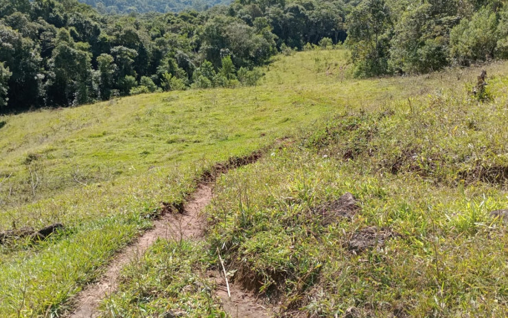 Fazenda com 53 Alqueires, excelente para agropecuaria | Extrema - MG  | código 995