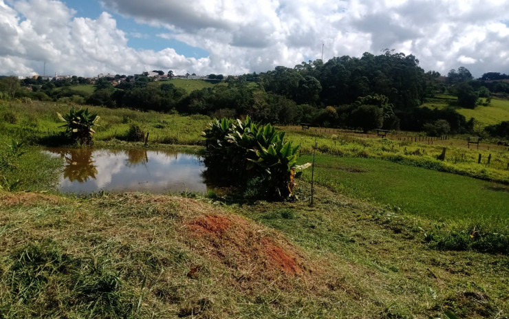 Chácara com lago, casa com 4 quartos, pomar. 1 km da cidade  | Toledo - MG  | código 996