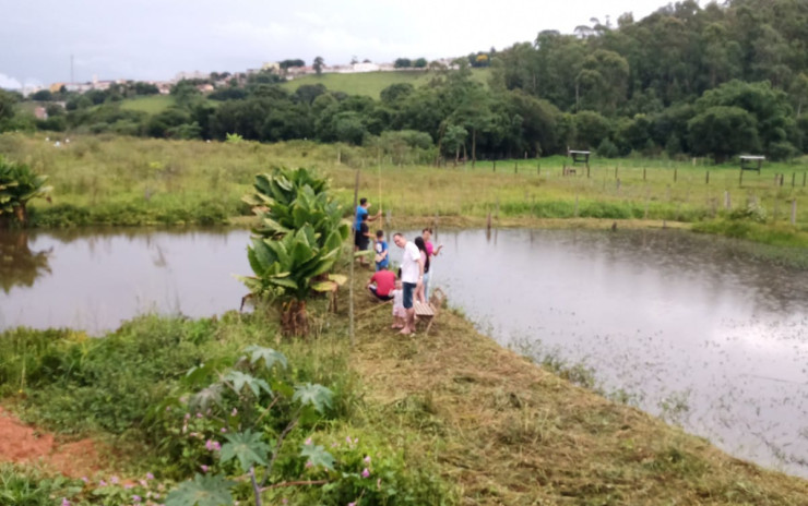 Chácara com lago, casa com 4 quartos, pomar. 1 km da cidade  | Toledo - MG  | código 996