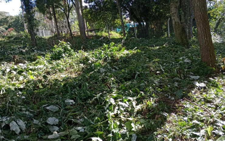 Terreno com ótima vista panorâmica para formar sitio | Itapeva - MG  | código 998