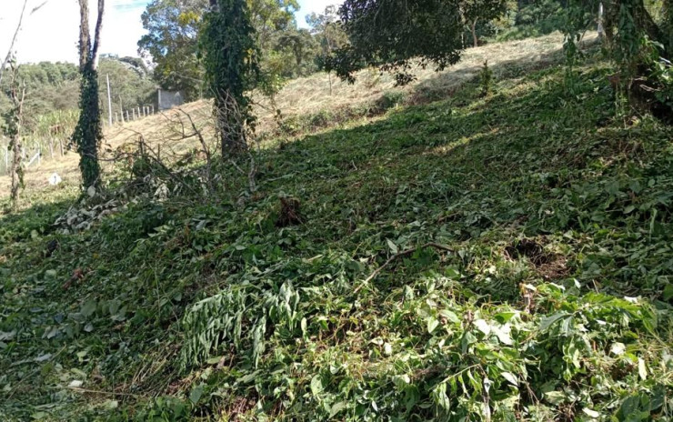 Terreno com ótima vista panorâmica para formar sitio | Itapeva - MG  | código 998