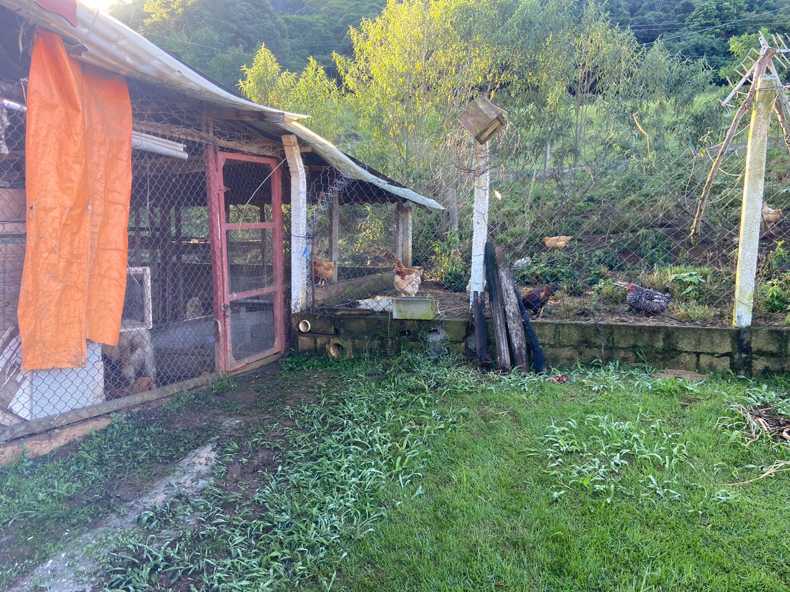 Belíssimo sítio com casa composta de 3 quarto; churrasqueira, piscina, 2 lagos de peixes em Toledo - MG  | código 1074