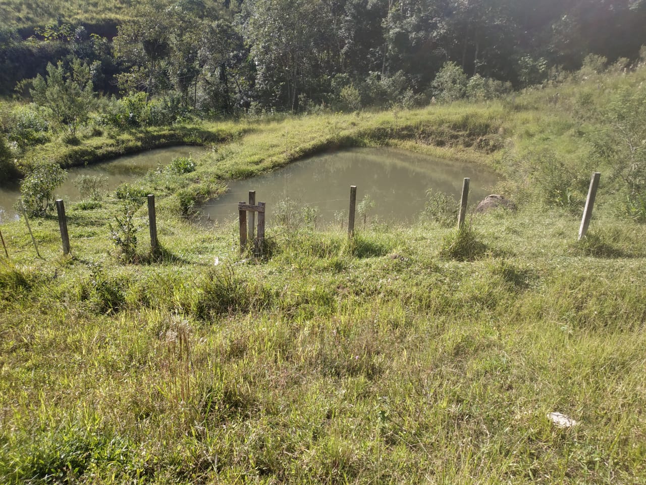 Belíssimo sítio com casa composta de 3 quarto; churrasqueira, piscina, 2 lagos de peixes em Toledo - MG  | código 1074