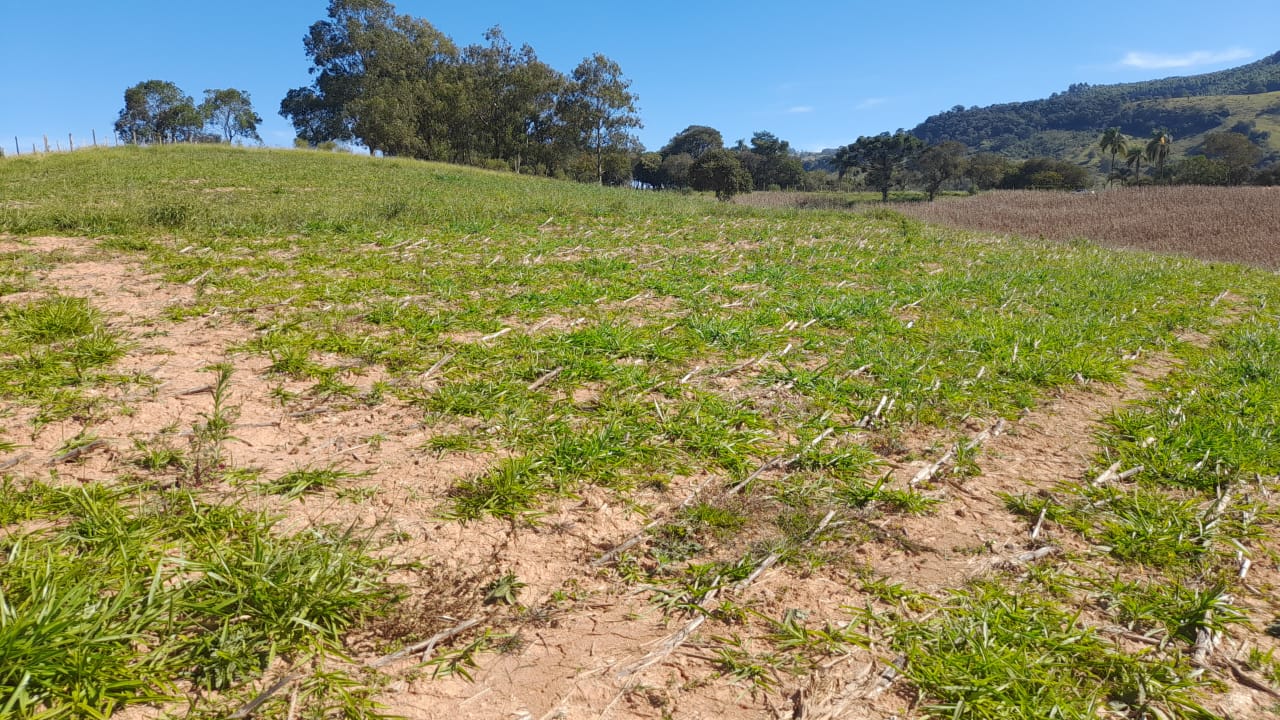 Terreno com vista panorâmica, turístico 7 km da cidade | Extrema - MG