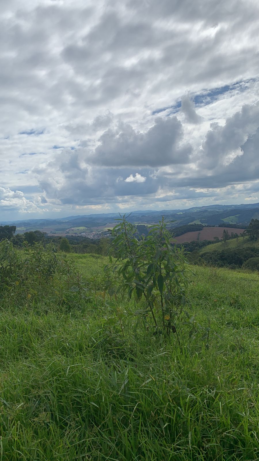 Terreno com vista panorâmica para construir chácara | Extrema - MG  | código 1009