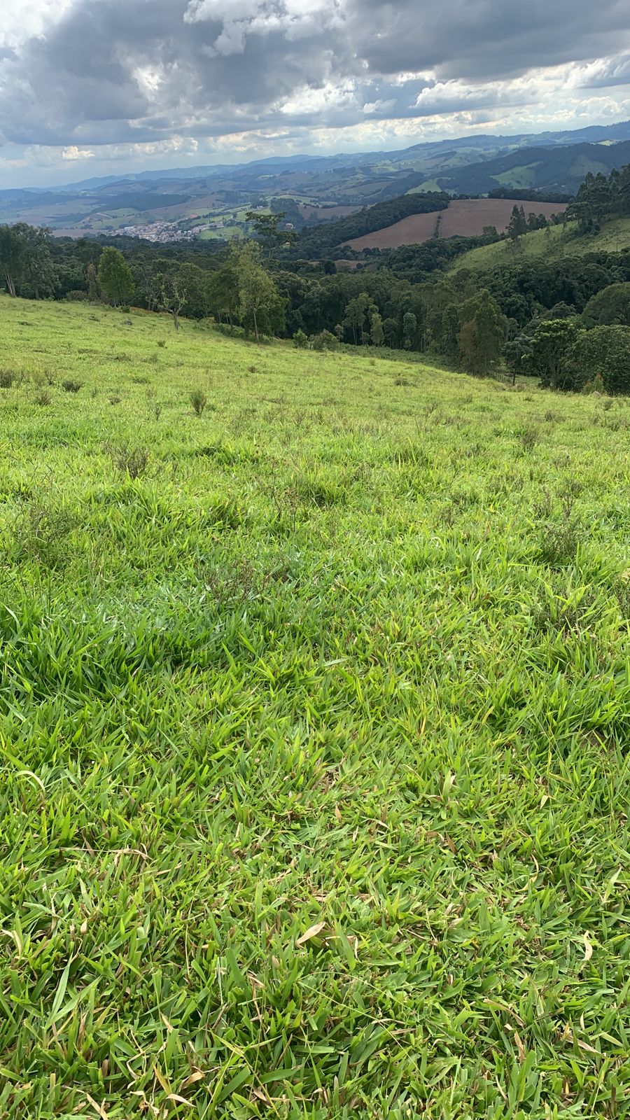 Terreno com vista panorâmica para construir chácara | Extrema - MG  | código 1009