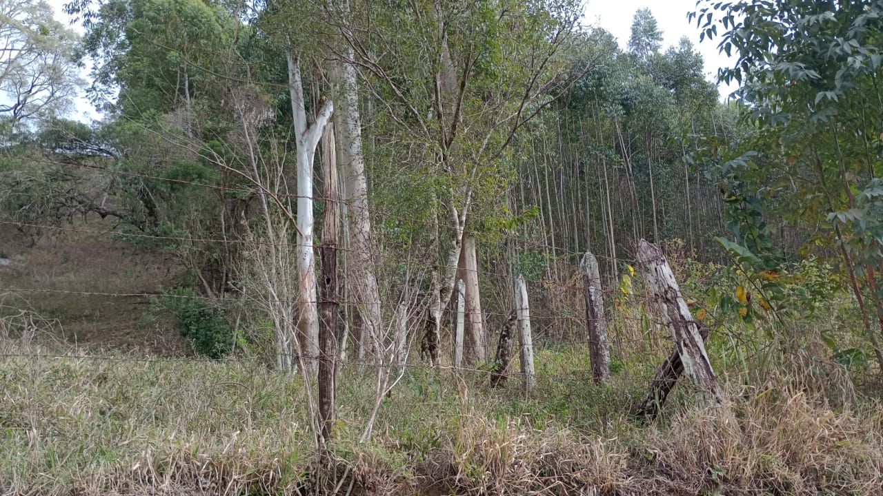 Terreno com potencial para chácara, cerca de 12 km da cidade de Extrema  | código 1026