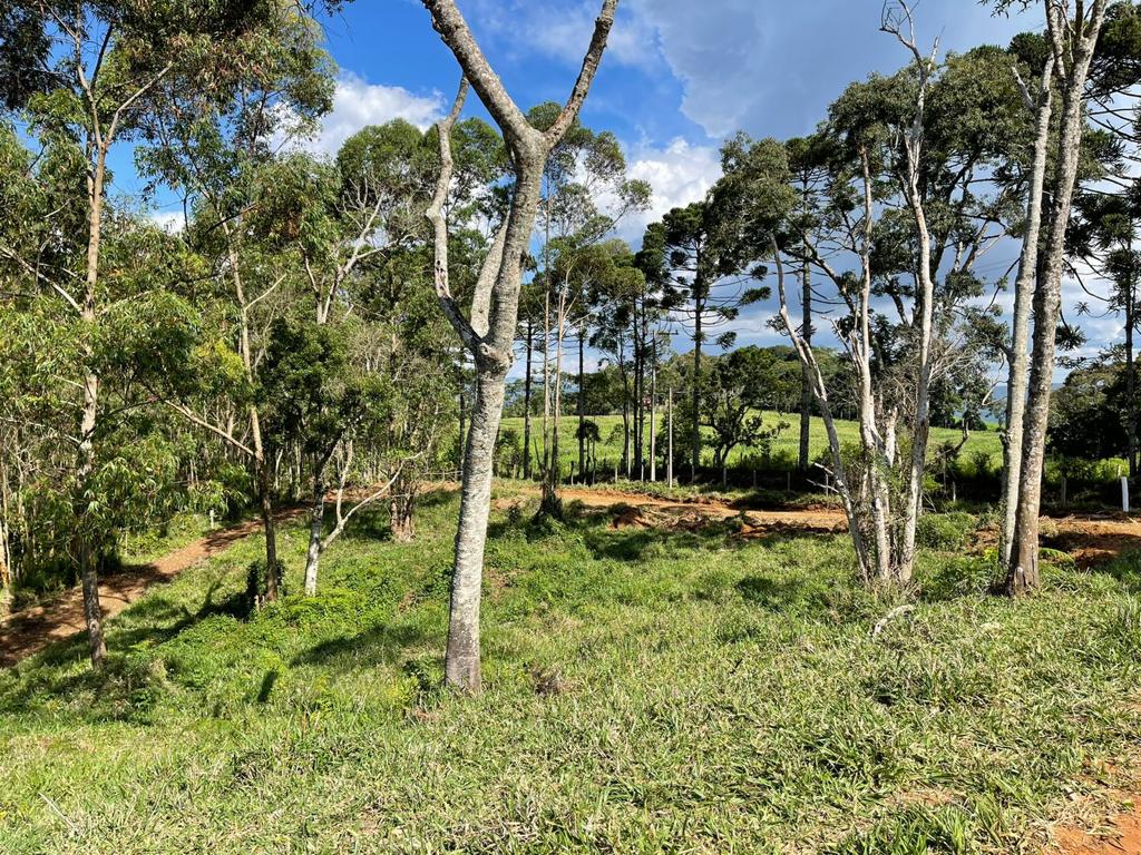 Terreno com linda vista escriturado de 41.831 Metros em Pedra Bela  | código 1040