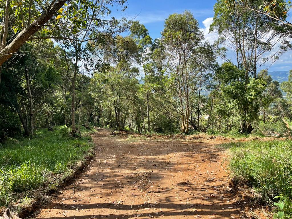 Terreno com linda vista escriturado de 41.831 Metros em Pedra Bela  | código 1040