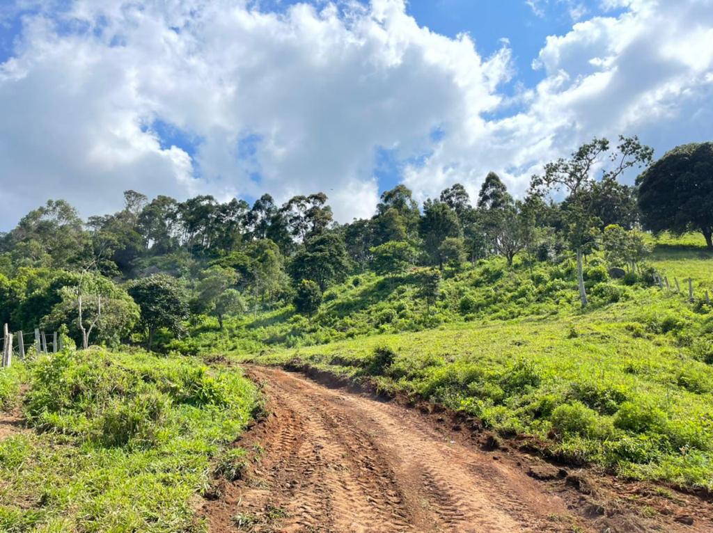 Terreno com linda vista escriturado de 41.831 Metros em Pedra Bela  | código 1040