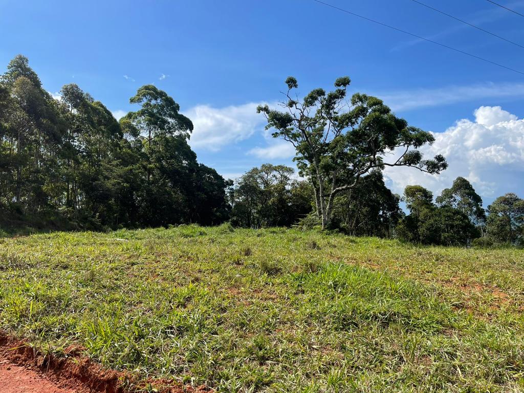 Terreno com linda vista escriturado de 41.831 Metros em Pedra Bela  | código 1040