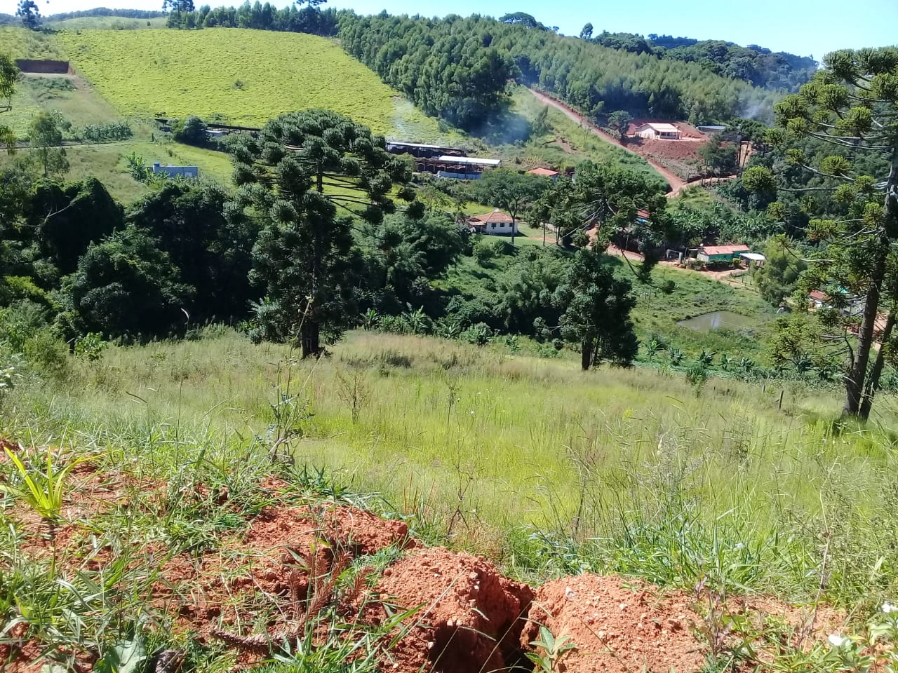 Terreno com vista panorâmica. Está na hora de realizar o sonho da casa no campo I Toledo-mg