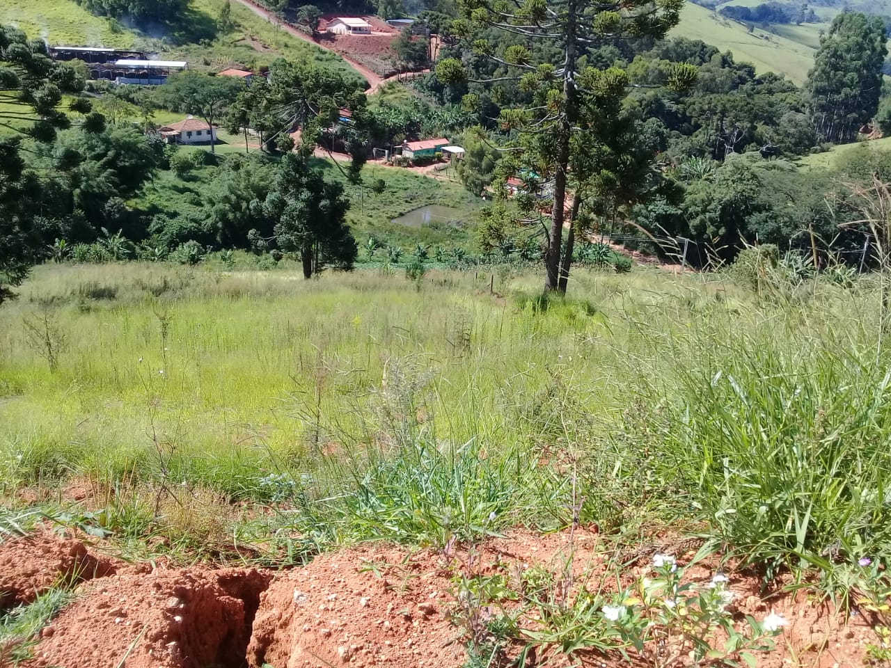 Terreno com vista panorâmica. Está na hora de realizar o sonho da casa no campo I Toledo-mg