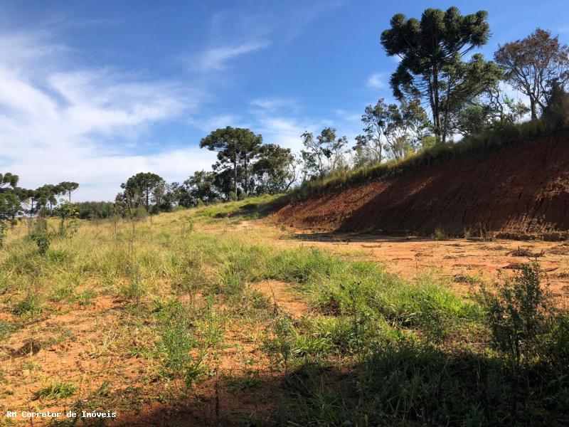 Terreno com vista panorâmica. Está na hora de realizar o sonho da casa no campo I Toledo-mg