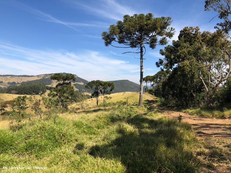 Terreno com vista panorâmica. Está na hora de realizar o sonho da casa no campo I Toledo-mg