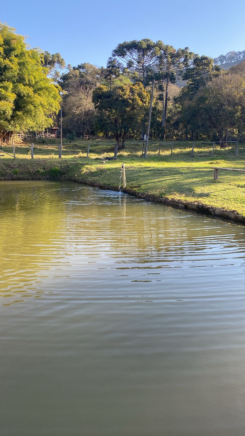 Sítio com lago e casa simples na divisa entre Extrema e Camanducaia Código 1131