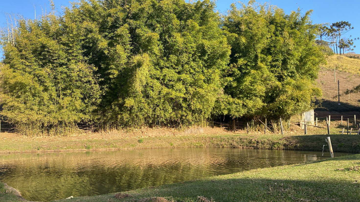 Sítio com lago e casa simples na divisa entre Extrema e Camanducaia Código 1131