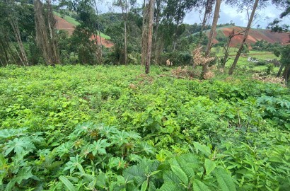 Terreno com 4.000 Mts² localizado em Camanducaia, estrada cascalhada. Código 1132