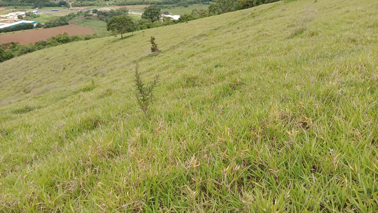 Terreno Industrial com 25.000 m² – Localização Privilegiada e Uso Misto | Cód. 1135