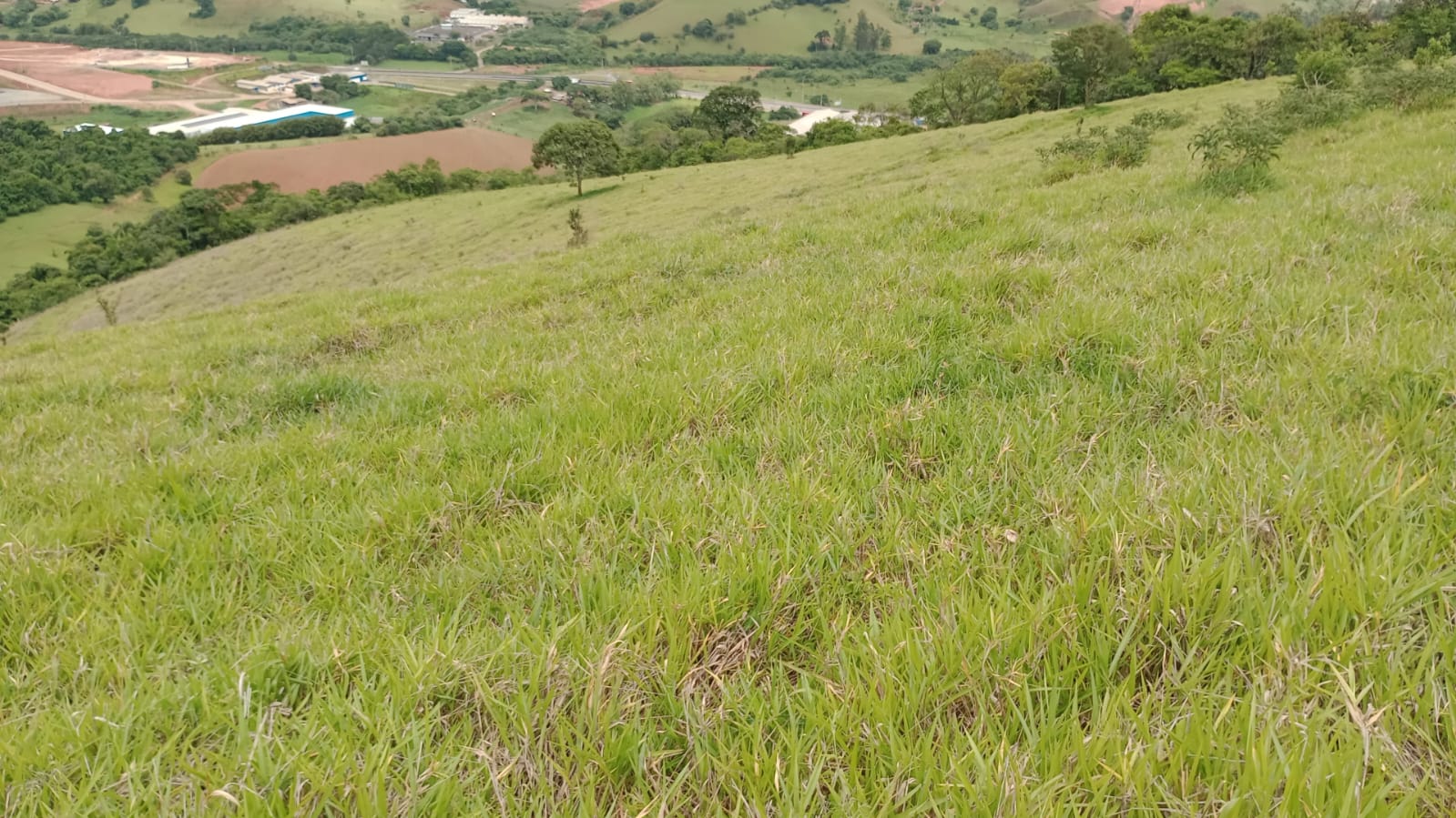 Terreno Industrial com 25.000 m² – Localização Privilegiada e Uso Misto | Cód. 1135