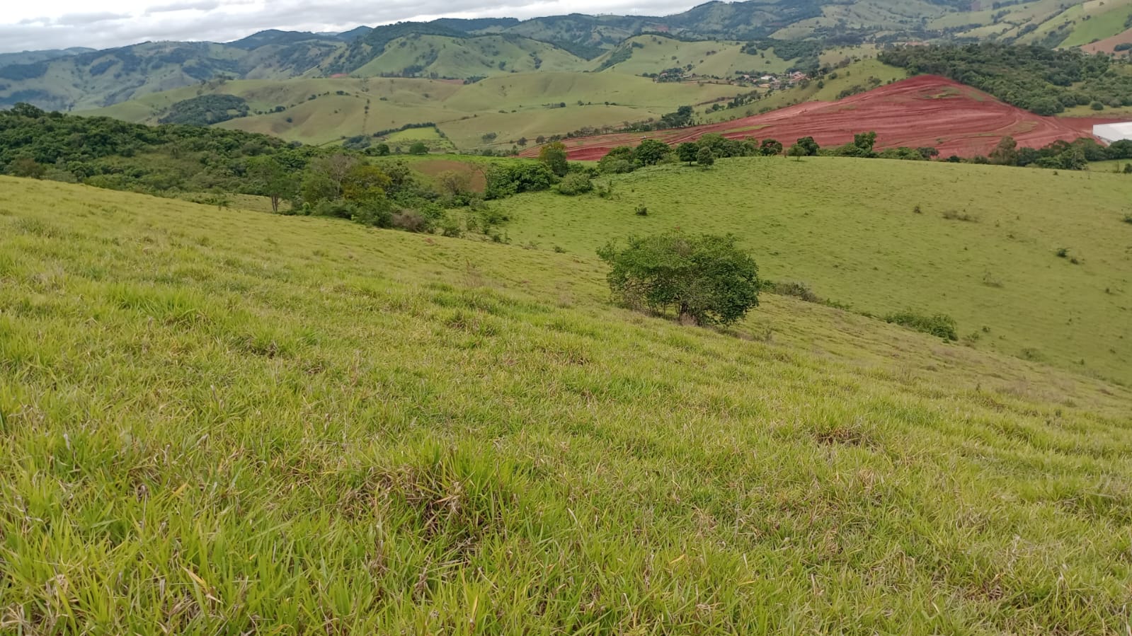 Terreno Industrial com 25.000 m² – Localização Privilegiada e Uso Misto | Cód. 1135