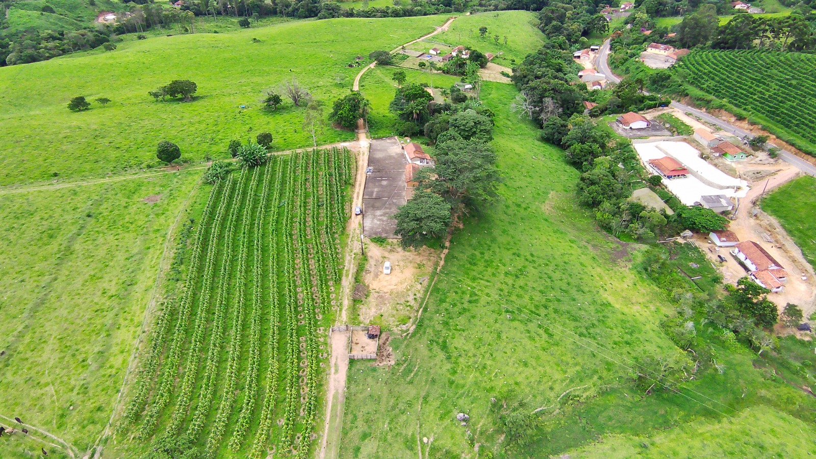 Fazenda para café ou gado com 33,5 alqueires em Ouro Fino - Minas Gerais