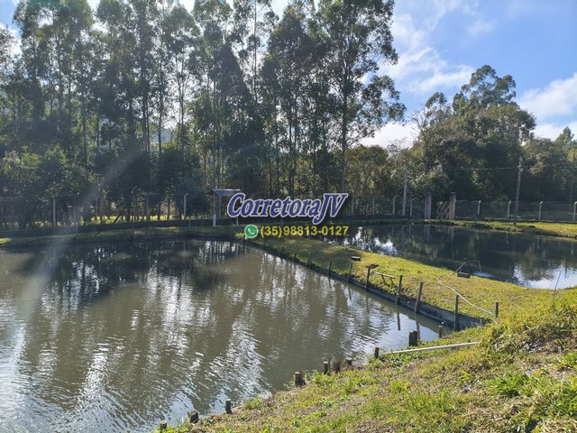 Sítio à Venda – Senador Amaral - 30.000 m² com casa de 3 quartos (1 suíte) cod 1171