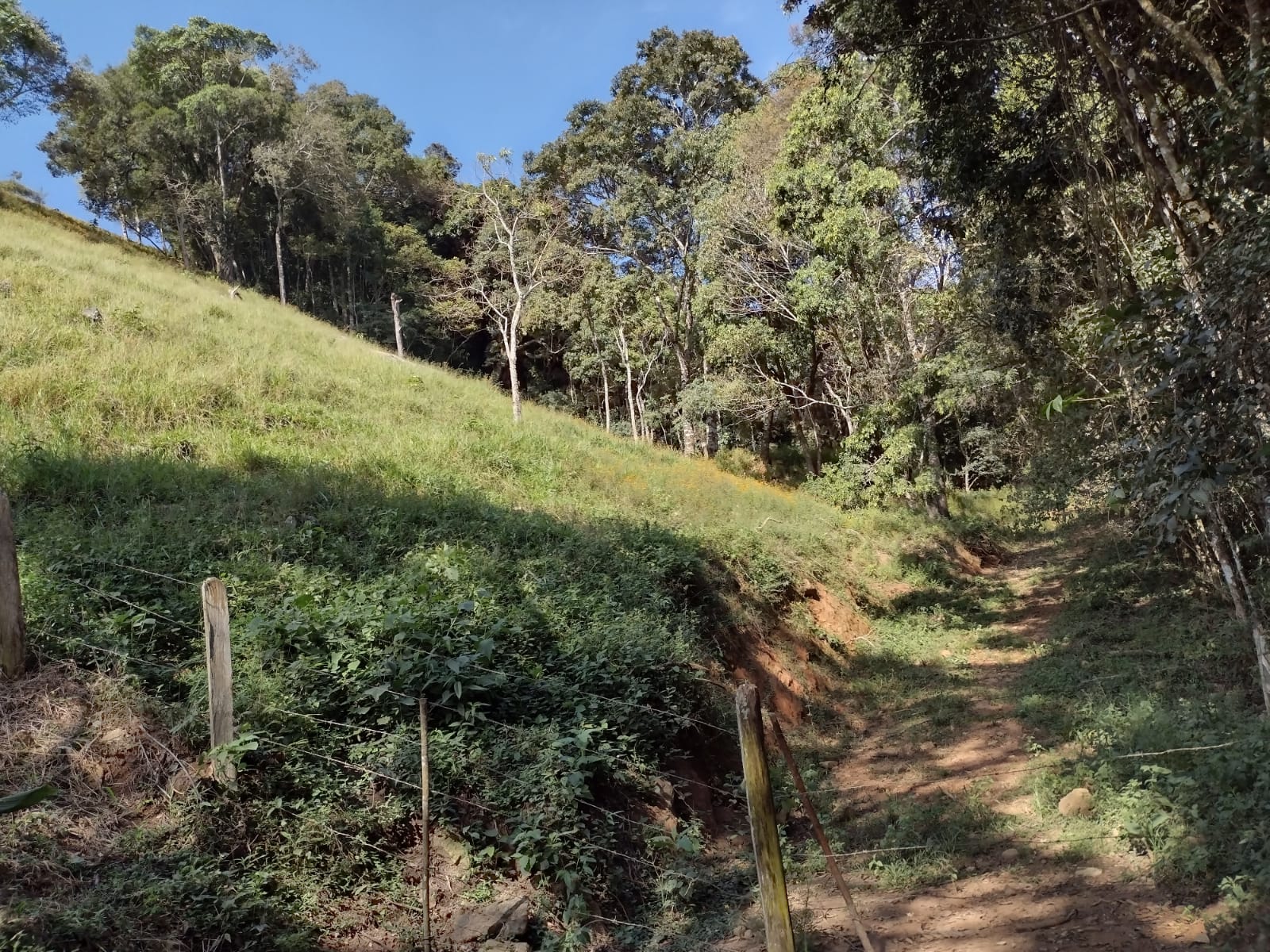 Chácara casa com 3 quartos, apenas 6 km do centro de Camanducaia e 17 km de Monte Verde cod. 1179