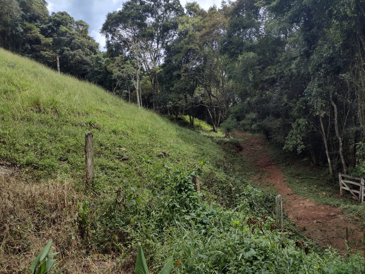 Chácara casa com 3 quartos, apenas 6 km do centro de Camanducaia e 17 km de Monte Verde cod. 1179