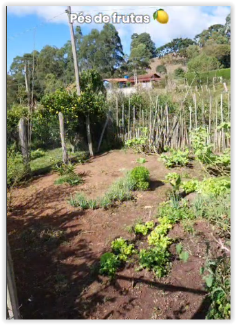 Chácara com Casa em Extrema/MG, 1.500m², 3 dormitórios (1 suíte), 2 lagos, garagem p/ 8 carros. Cod. 1180