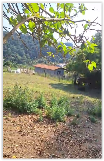Chácara com Casa e Nascente em Camanducaia – Ideal para Moradia ou Investimento cod 1189
