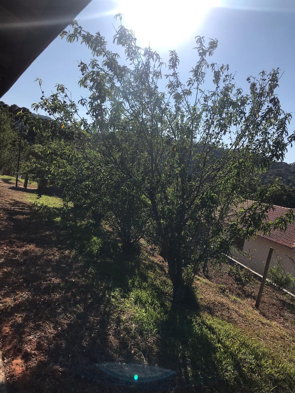 Chácara em Monte Verde - casa com 3 quartos, suíte e terreno amplo cod 1190