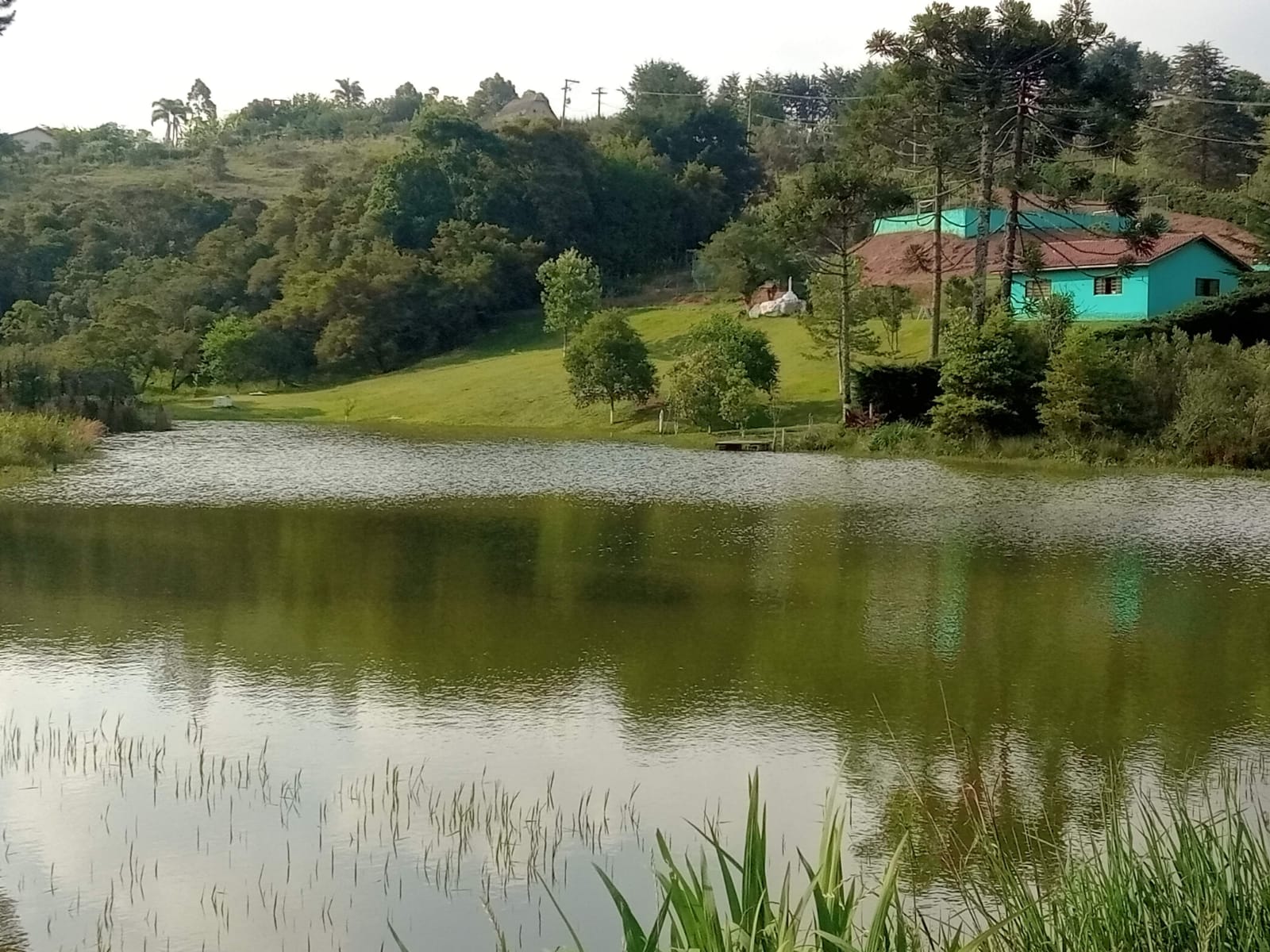 Chácara à Venda com Casa, Lago, Pomar e Quadra – Área de 5.680 m² Munhoz-MG cod 1191