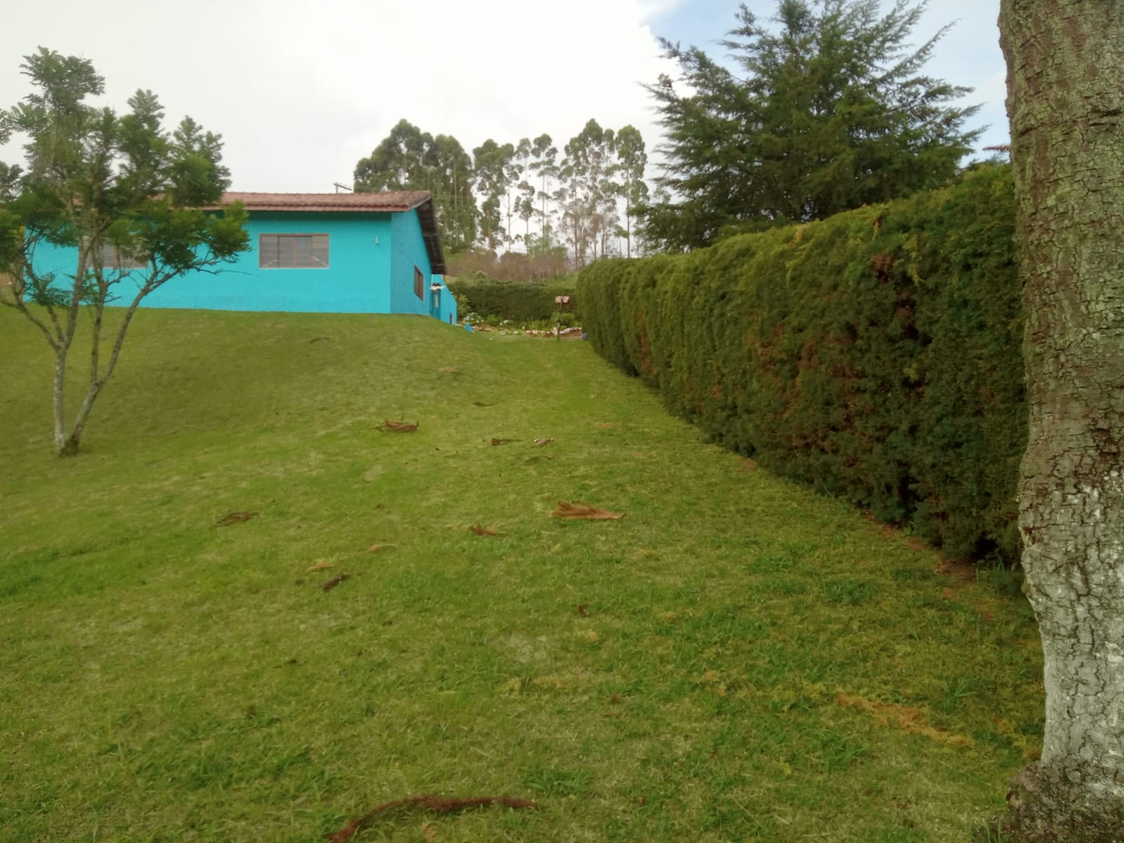 Chácara à Venda com Casa, Lago, Pomar e Quadra – Área de 5.680 m² Munhoz-MG cod 1191