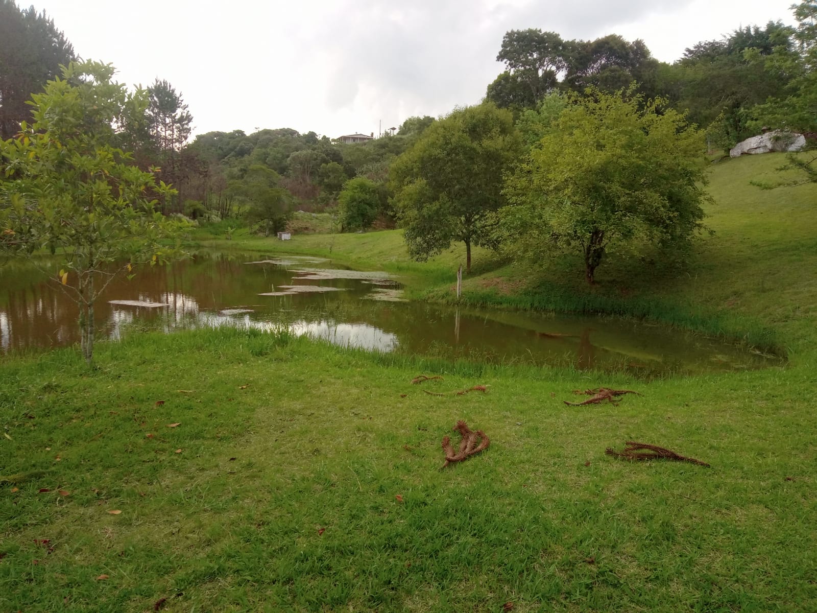 Chácara à Venda com Casa, Lago, Pomar e Quadra – Área de 5.680 m² Munhoz-MG cod 1191