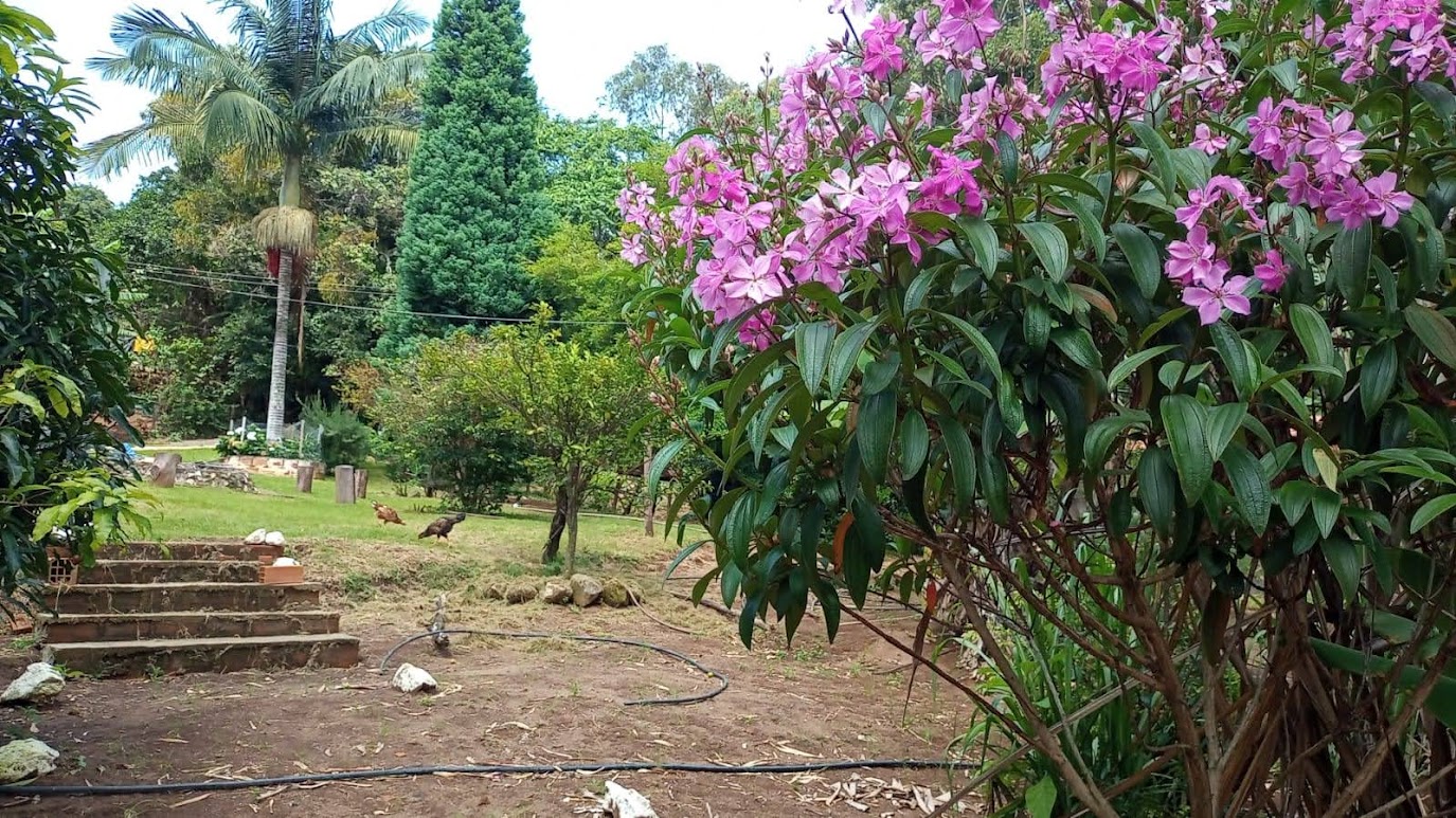 Viva Dias de Paz e Simplicidade em Uma Chácara com Lago e Piscina no Sul de Minas! cod. 1192
