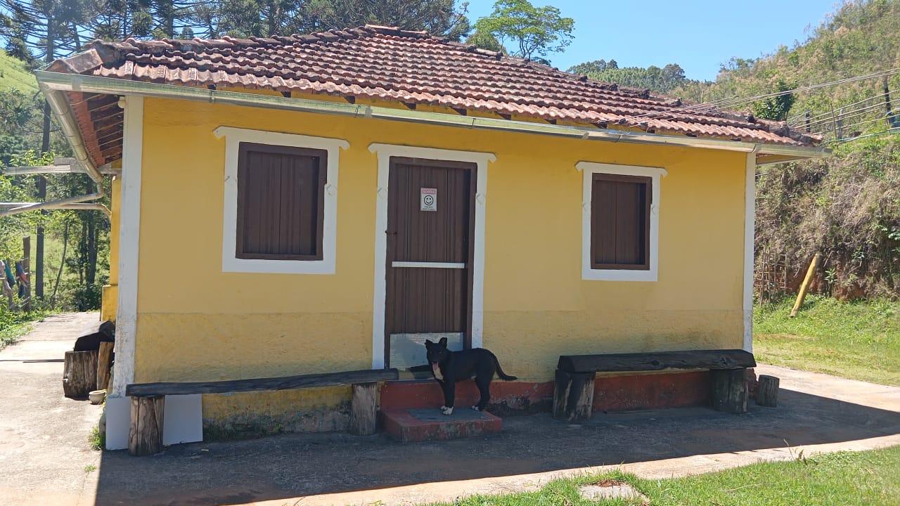 Chácara Charmosa com Lago e Casa de Fazenda em Meio às Araucárias – 4.000m cod 1194