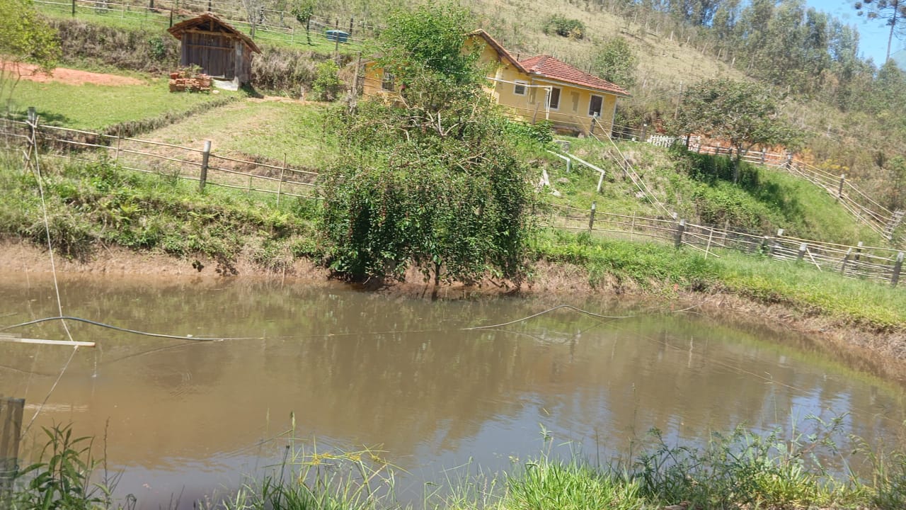 Chácara Charmosa com Lago e Casa de Fazenda em Meio às Araucárias – 4.000m cod 1194