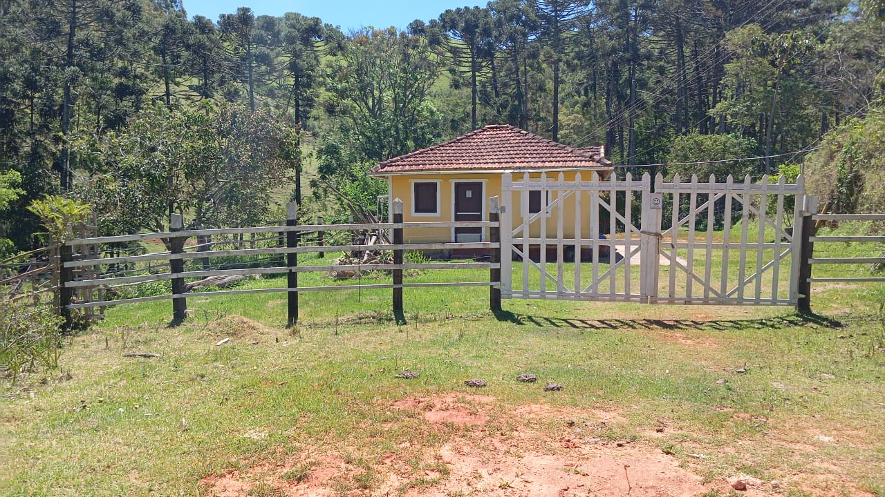 Chácara Charmosa com Lago e Casa de Fazenda em Meio às Araucárias – 4.000m cod 1194