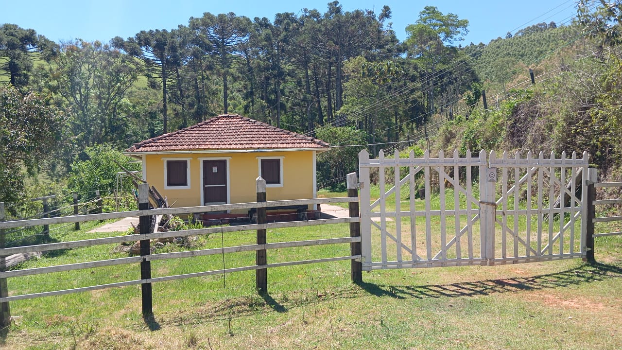Chácara Charmosa com Lago e Casa de Fazenda em Meio às Araucárias – 4.000m cod 1194