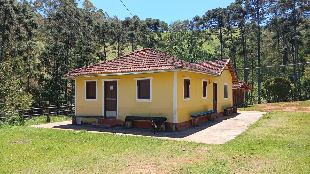 Chácara Charmosa com Lago e Casa de Fazenda em Meio às Araucárias – 4.000m cod 1194