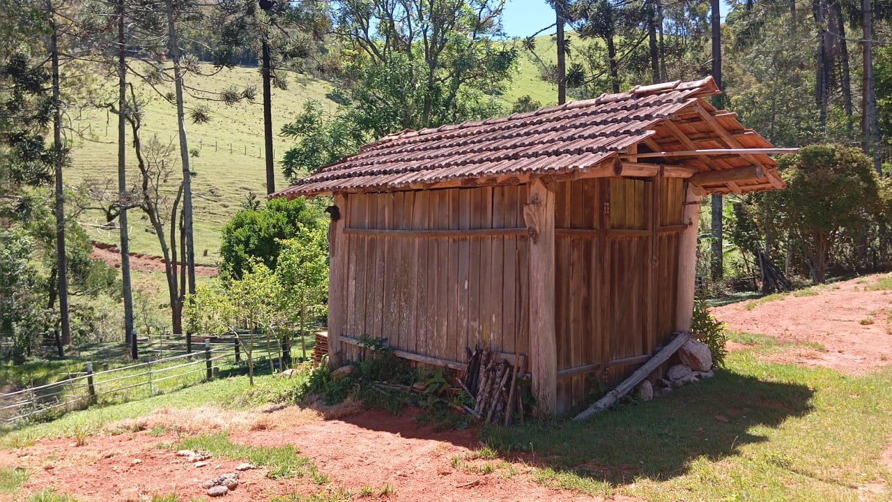 Chácara Charmosa com Lago e Casa de Fazenda em Meio às Araucárias – 4.000m cod 1194