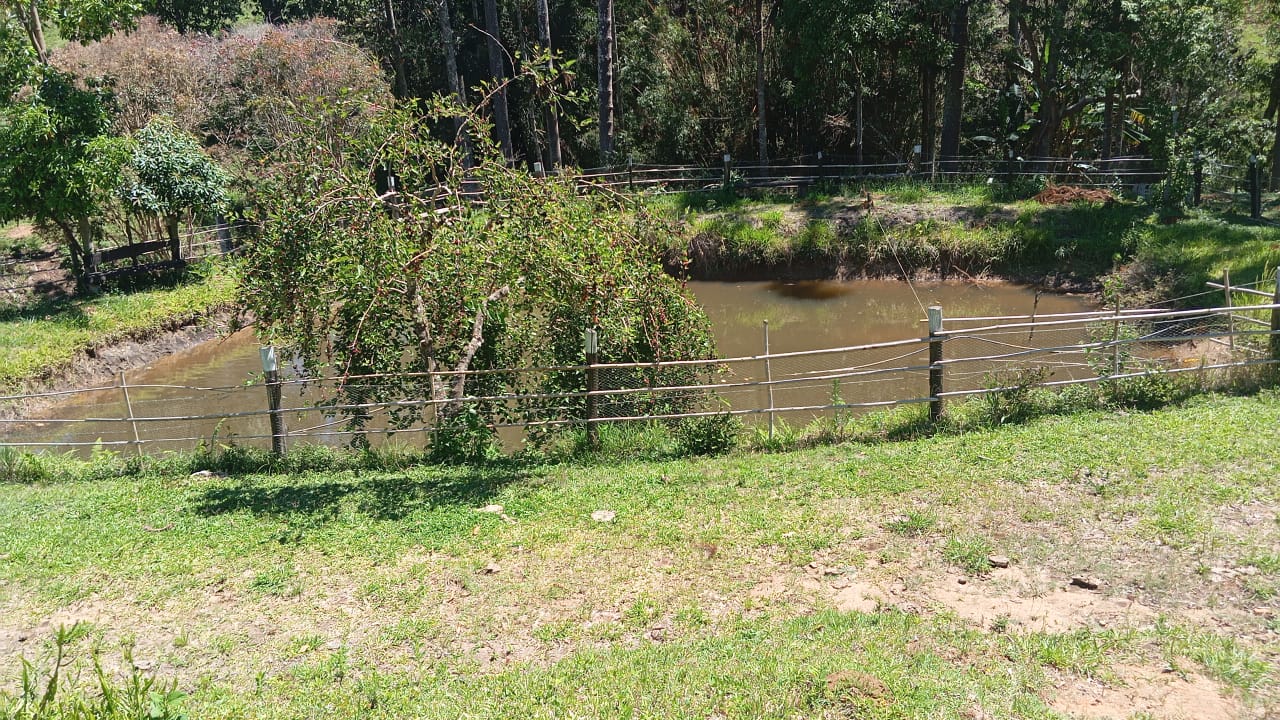 Chácara Charmosa com Lago e Casa de Fazenda em Meio às Araucárias – 4.000m cod 1194