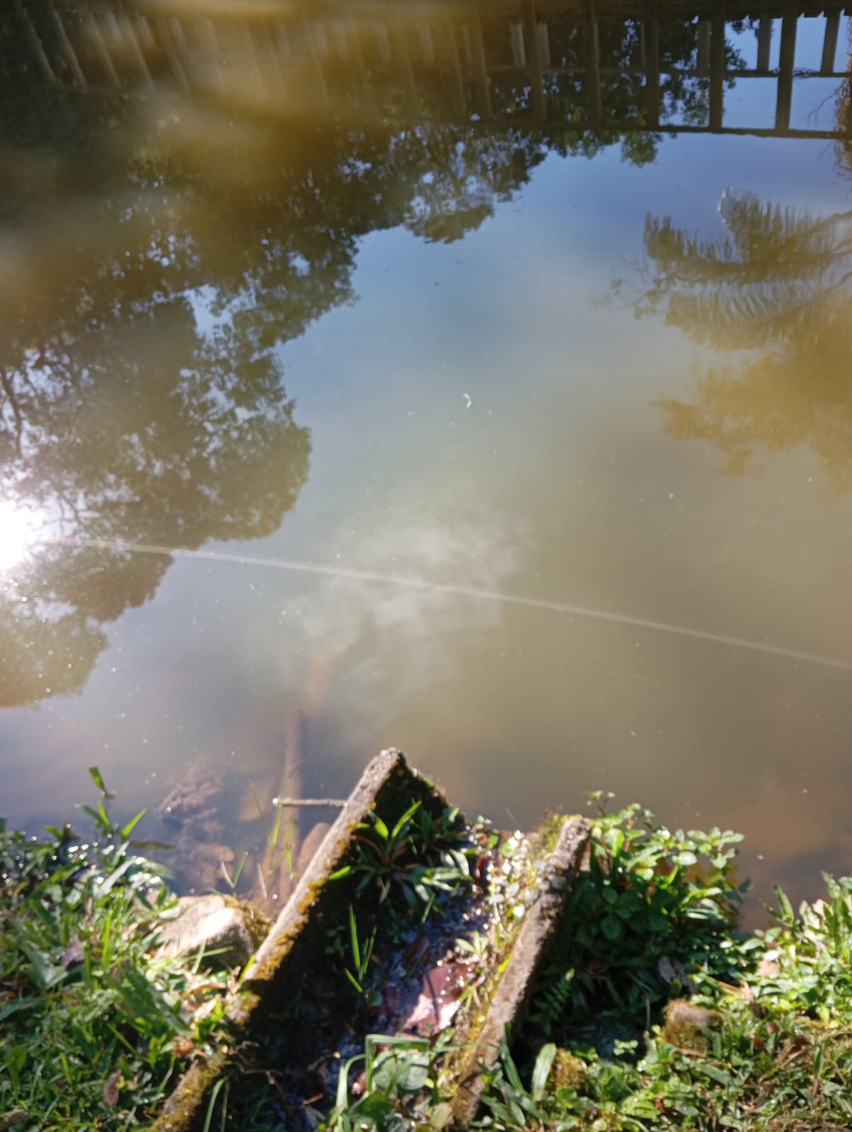 Sítio à Venda em Extrema-MG Mina d’Água, Piscina e Lago com Peixes cod. 1195